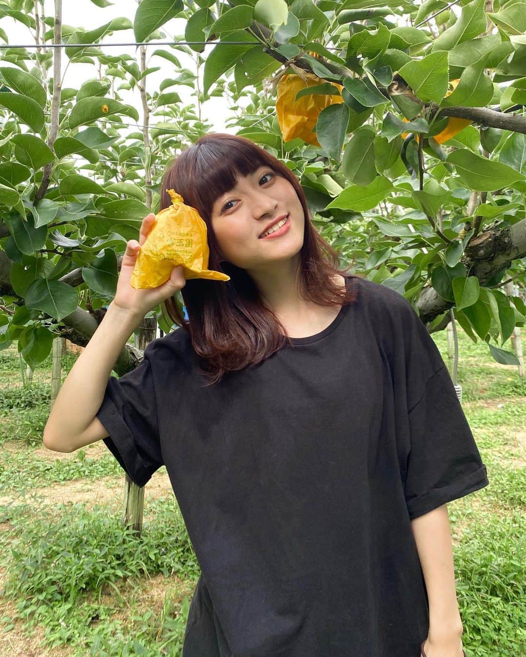谷口萌衣子のインスタグラム：「鳥取の旅 昔家族でよく行ってた梨狩り 大学生のうちに一回は、、、 と思ってたのがやっと叶いました🙈  果物高いけど、今年は積極的に食べている！ そろそろ柿かなあ  #ミスキャンパス立命館  #鳥取旅行 #日帰り旅行  #梨狩り #福部町」