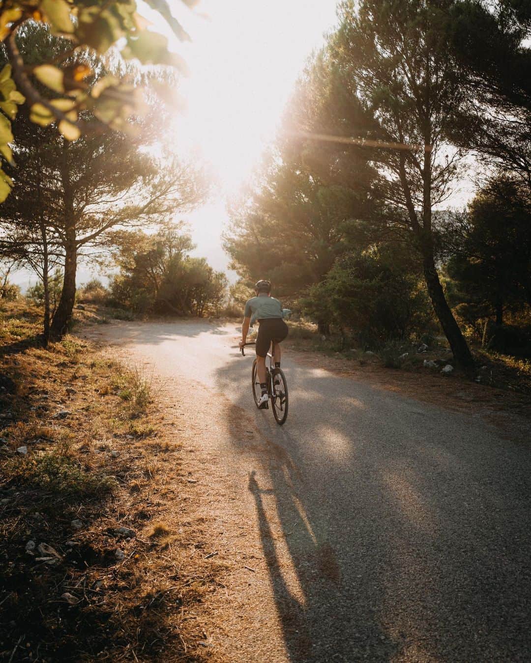 ジェームズ・ロシターのインスタグラム：「Where will my bike take me next...」