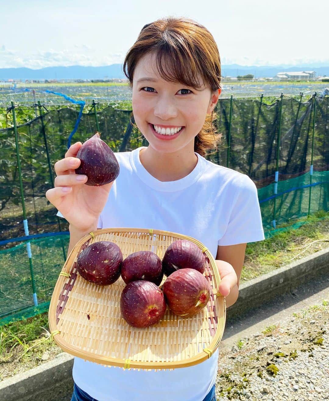 河谷麻瑚さんのインスタグラム写真 - (河谷麻瑚Instagram)「. 今日のリフレッシュ・おでかけ中継は、 川北町のいちじくをご紹介しました💗💗 . 甘くて美味しいいちじく、 大好きー！という方も多いのでは？！🥺💓 . お世話になった坂井さんのいちじくは、 ◆ＪＡグリーン能美　能美の市 ◆川北温泉　ふれあいの湯　で販売されていますよ🤩 . . いちじくのジャム・ワイン煮も 絶品でしたー😆❤️❤️ . . #いちじく#無花果#川北町#石川県#収穫#ジャム#ワイン煮#中継#石川テレビ#アナウンサー#河谷麻瑚」9月29日 22時02分 - makokawatani