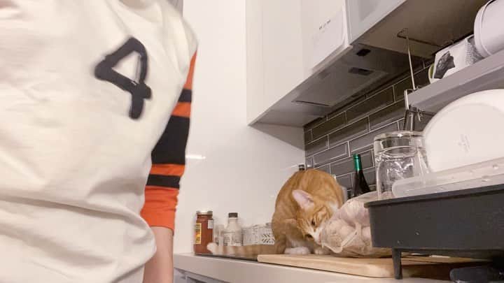 イ・エルのインスタグラム：「_ 꽈바 내려와 휘리릭!토마토 파스타 🍅 #김삐용구아바밤송이마마냥꼬껌딱지막내딸」