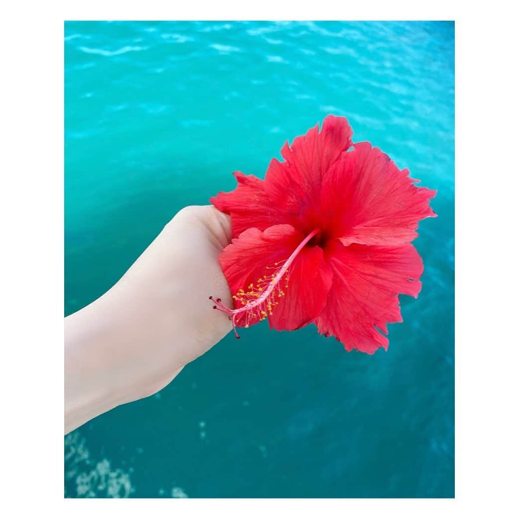 愛聖りささんのインスタグラム写真 - (愛聖りさInstagram)「.  初めての石垣島🏝🌺✨﻿ お天気もよくて最高だった☀️﻿ 特に平久保崎灯台からの景色は絶景だった😭﻿ （1〜3枚目は完全無加工です！！！） 竹富島にも行けて水牛車も乗れて大満足🙆‍♀️﻿ ずーーーっと沖縄にいたかった🥺﻿ .﻿ 年末もどっか行けたらいいなぁ… . #沖縄 #石垣島 #竹富島 #旅行 #海 #夏休み #오키나와 #여행 #okinawa #ishigakiisland #taketomiisland #vacation #travel #instagood #followme #🐠」9月29日 22時15分 - risa_aise