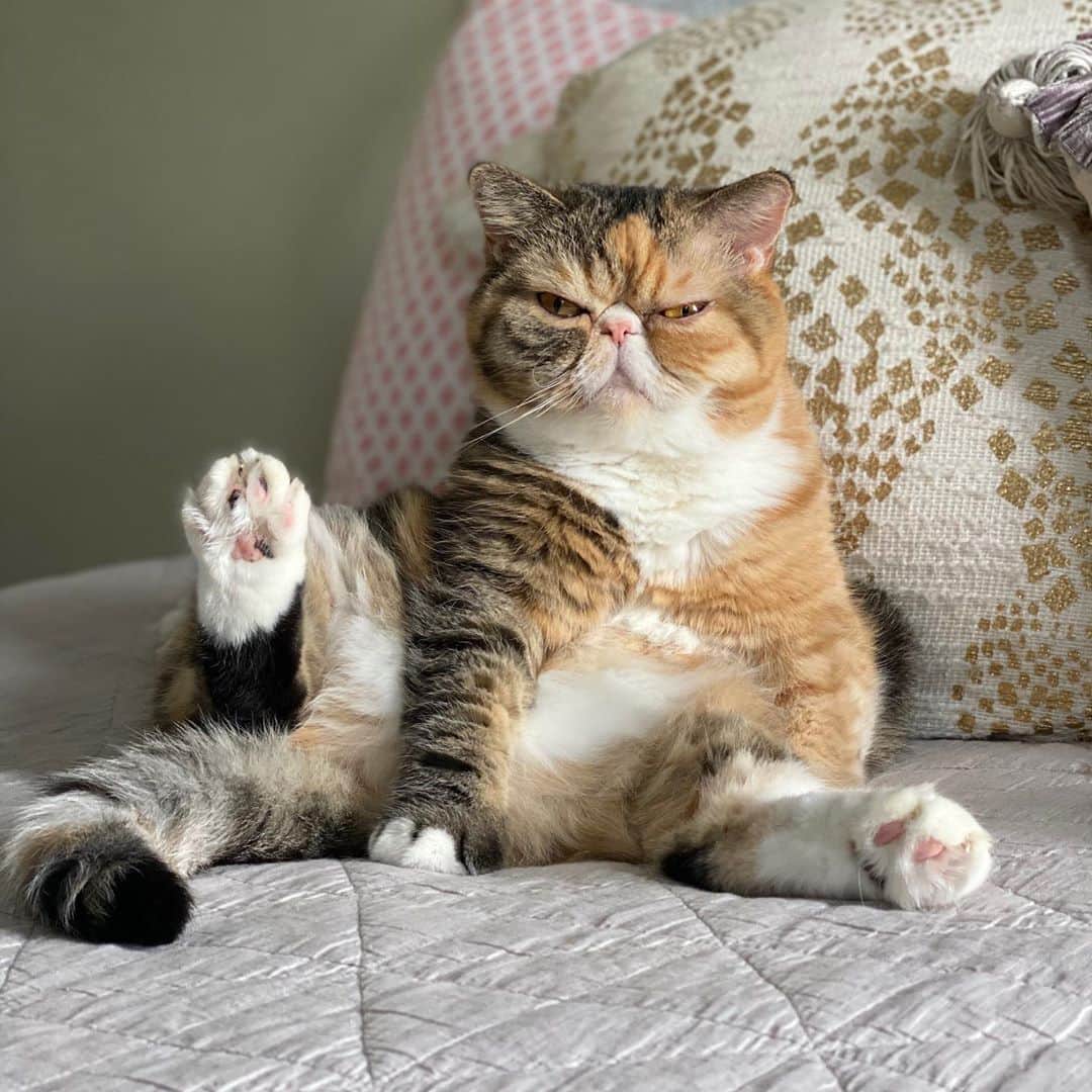 のインスタグラム：「Feels like a Monday 😑」