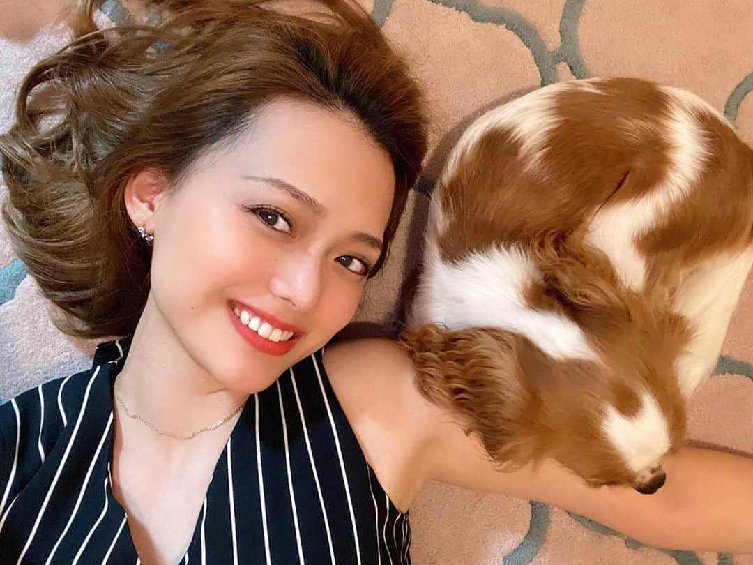 苅谷なつみさんのインスタグラム写真 - (苅谷なつみInstagram)「最近甘え上手なエリザベス🐶💕 ただ、横でニタニタしてる私は、歯に黒胡麻を光らせています✨ . 今日、なんかいろいろ嬉しい事いっぱいあったー☺️❤️いつも結構毎日がハッピーデイだけど、仕事のこととか、なんかいろいろずっと頑張ってることが何かに繋がった時はなんか、嬉しい🍁💖 嬉しいコメントとかくれる人も、いつもありがとう！ . 明日は高校の同級生と1日一緒🧡 たのすぃみ〜♡ . #キャバリアキングチャールズスパニエル #cavalierkingcharlesspaniel #夏はもう終わり」9月29日 22時58分 - natsumi_kariya