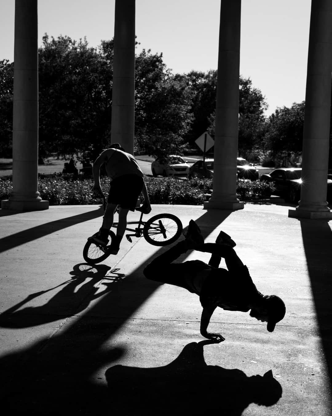 ライカさんのインスタグラム写真 - (ライカInstagram)「LFI Gallery - Editors' Picks 'Acrobatics' by Michael Murat (@mikeleica)  Shapes and shadows seemingly blur together in this shot captured in City Park, New Orleans.  Gear: #LeicaM240; Apo-Summicron-M 50mm f/2 Asph  #LeicaCamera #Leica #🔴📷 #LeicaGram #lfigallery #theleicalook #LeicaFotografieInternational」9月29日 23時00分 - leica_camera