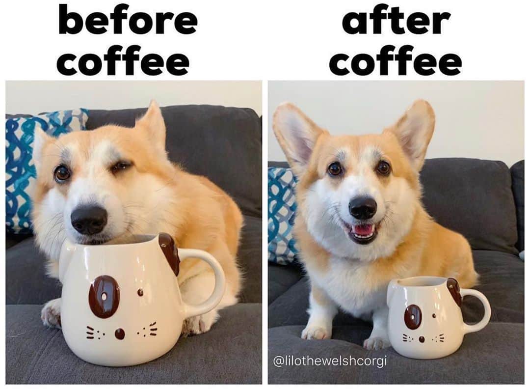 Liloのインスタグラム：「Since it’s #NationalCoffeeDay... iykyk ☕️」
