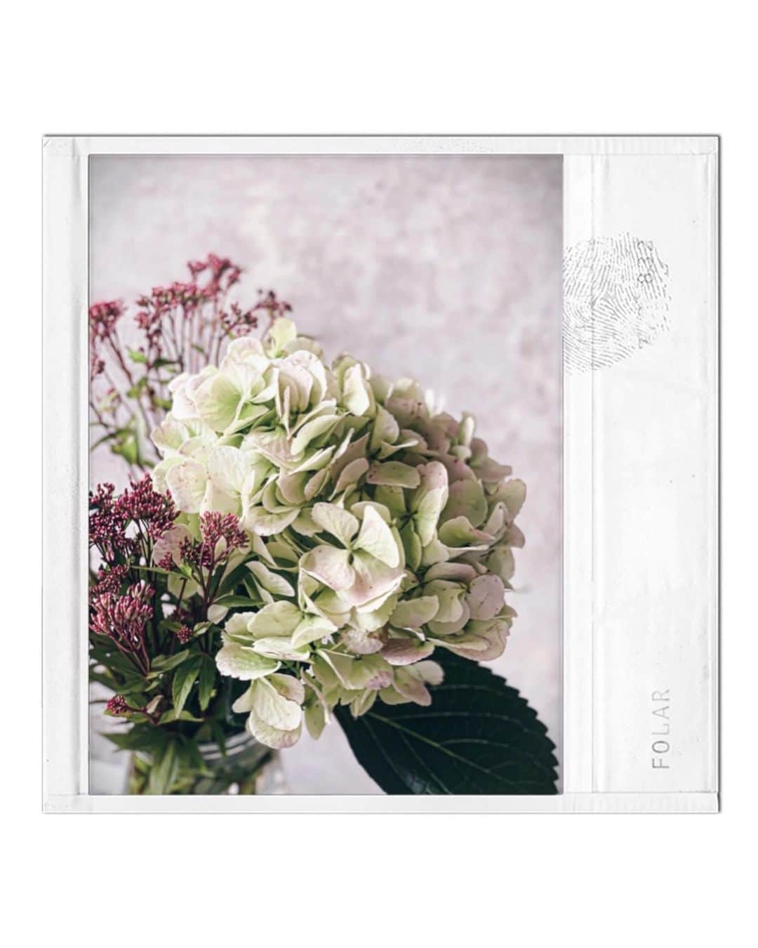 Yukicoさんのインスタグラム写真 - (YukicoInstagram)「𓇠𓇢𓇡 𓆸𓆸  ℎ𝑦𝑑𝑟𝑎𝑛𝑔𝑒𝑎‥ . . 秋色あじさい . . . こんなお花が欲しいなぁ〜 と思ってる花は大抵ない😹 その場にあるものが出会い𓂃𖡼𓇢  ‥‥‥‥‥‥‥‥‥‥‥‥‥‥‥‥‥‥‥‥‥‥‥‥‥‥‥‥‥‥‥‥‥‥ #postcardsfromtheworld#postcardplaces#prettylittletrips#discoverearth#storyofmylife#flowers#flowerporn#flowerslovers#flowerstyles#floweroflife#flower_perfection#flowerstagram#floweroftheday#livethelittlethings#inspiredbypetals#tv_stilllife#hydrangea#kyoto#インスタグラム#インフルエンサー#大阪#フォトレッスン#紫陽花#あじさい」9月29日 23時38分 - yukicolifecom