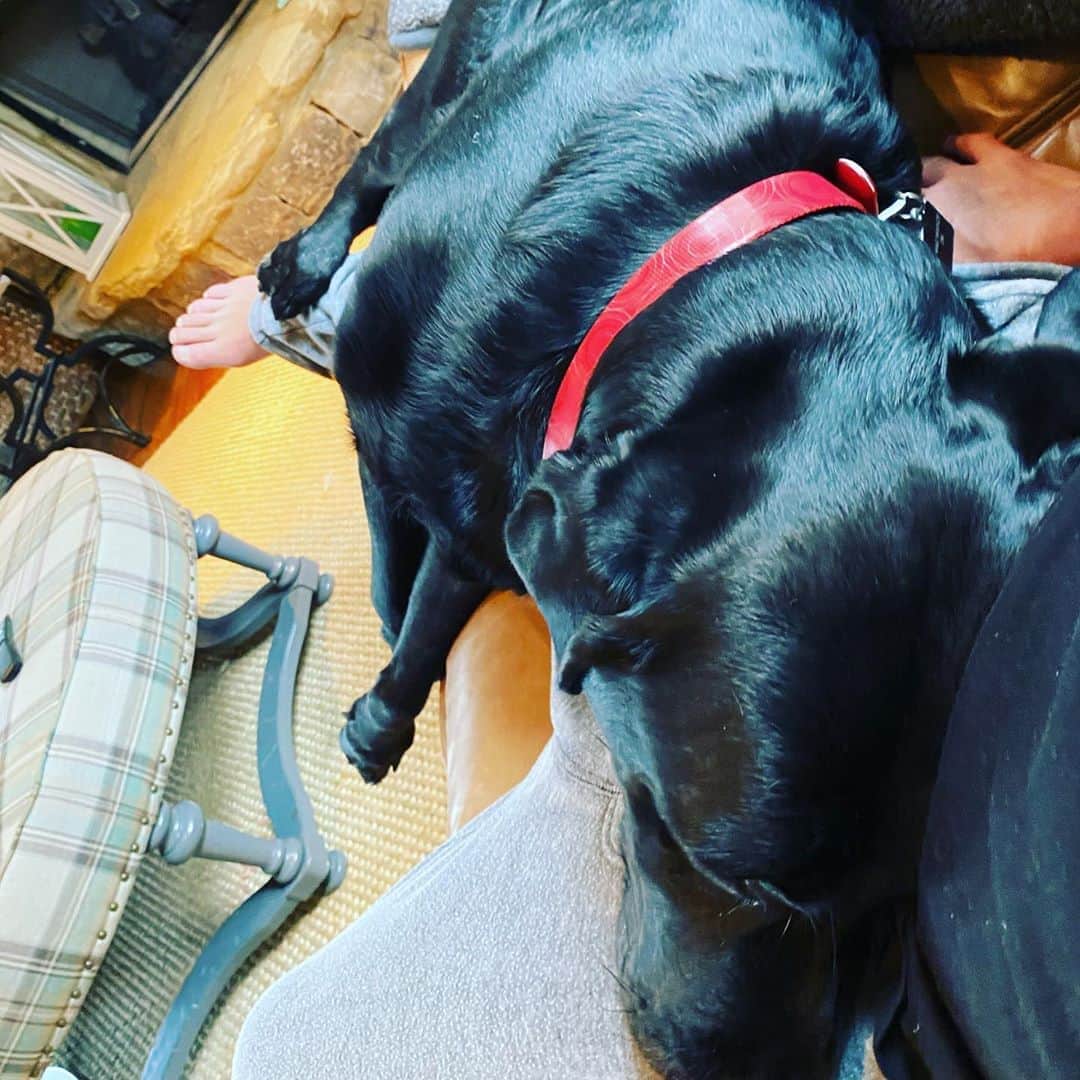 アレン・ジョーンズのインスタグラム：「I don’t think Ardey knows he’s a big dog.」