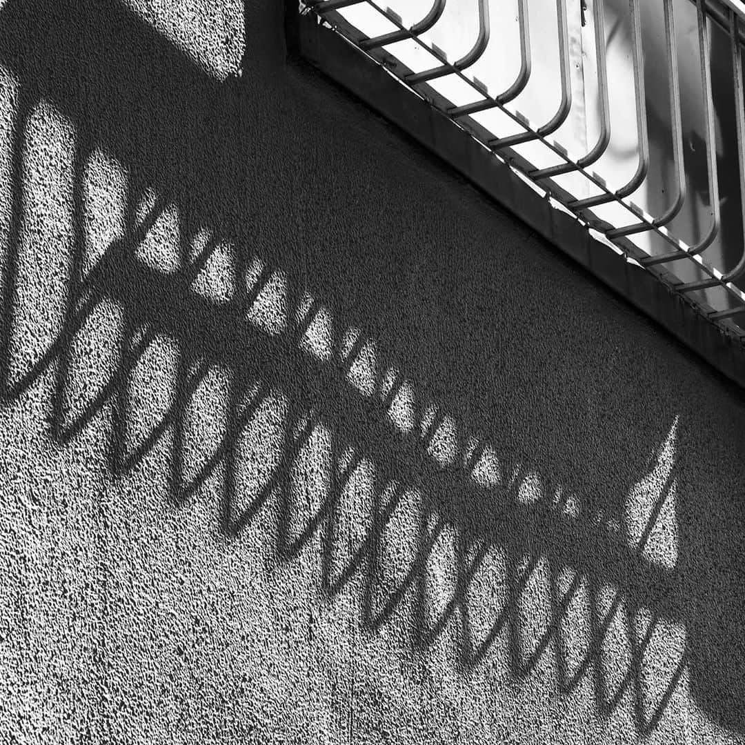 naotakeのインスタグラム：「窓 - A window / X-T2 & Snapseed, 20200930 . . ロッシの転倒にがっかり。 . . #spicollective #royalsnappingartists #infamous_family #rsa_main #infinity_photo_cult #2_fineart #jp_gallery_member #jp_gallery_bnw #trb_bnw #wp_bnw  #bnw_life #bnwlife_member #bnw_life_shots #bnw_captures #world_bnw #top_bnw #team_jp_ #team_jp_モノクロ #ig_energy_bw #ig_nihon #streetphotographybnw #igersjp #blackandwhite #bnw #bnwphoto #monochrome #bw #bnwphotography #今日もx日和 #fujifilm_xseries」