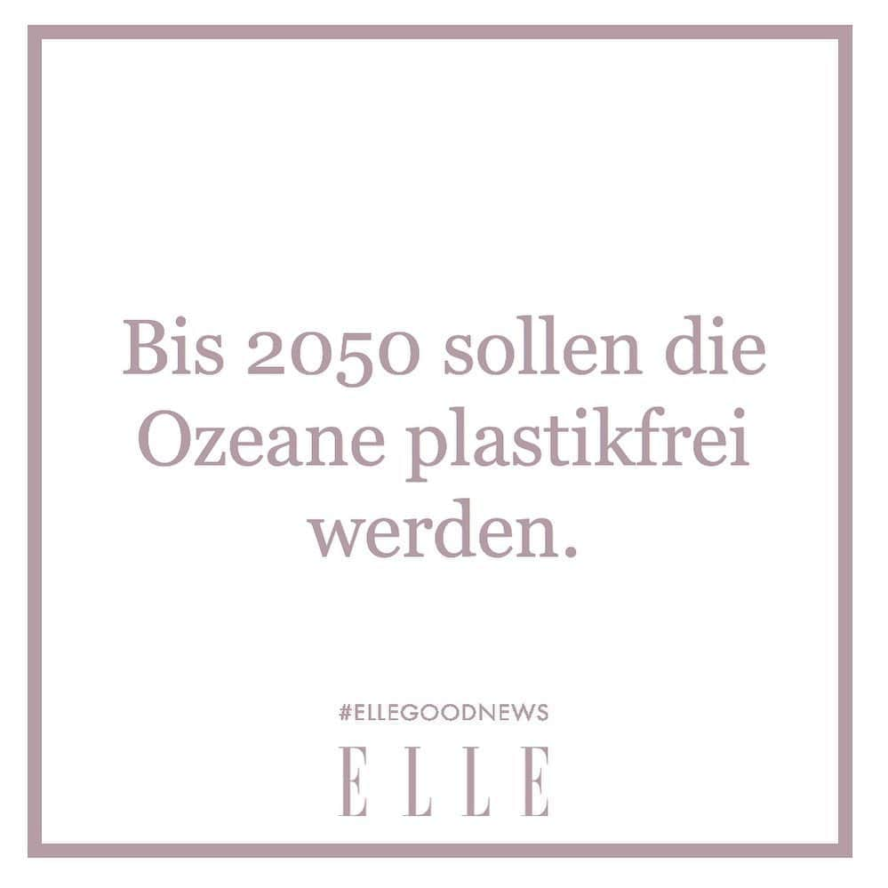 ELLE Germanyさんのインスタグラム写真 - (ELLE GermanyInstagram)「Plastik ist eine der größten Risiken unserer Zeit – denn durch den Müll in den Ozeanen sind zahlreiche Lebewesen vom Aussterben bedroht. Doch die EU-Kommission fordert jetzt eine Verpflichtung der Länder, den Artenschutz zu fördern – und die Ozeane bis spätestens 2050 von sämtlichem Plastik zu befreien. Neben Deutschland haben mehr als 70 Länder unterschrieben und wollen sich in Zukunft noch gezielter für den Umweltschutz einsetzen. Entscheidend seien allerdings große Staaten wie China, Russland oder die USA, die bislang noch auf der Liste fehlen. 🌎 #umweltschutz #plastikfrei #oceanlove」9月30日 0時26分 - ellegermany