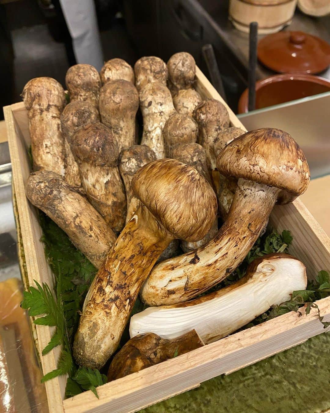 SHOGOのグルメインスタ