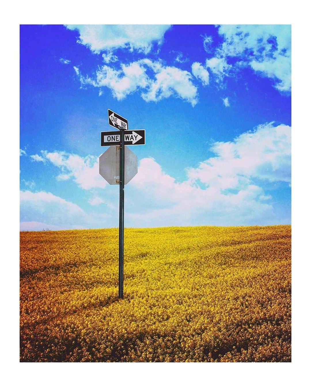 ジュリアナ・パエスのインスタグラム：「Escolhas diárias!!!! Pequenas ... grandes.... escolhas... escolha você!!! Escolha a vida!!! takecareofyourself #secuide #setembroamarelo Ta acabando mas a jornada é grande, e é bonita! #cvv  @cvvoficial pode ajudar você!!」