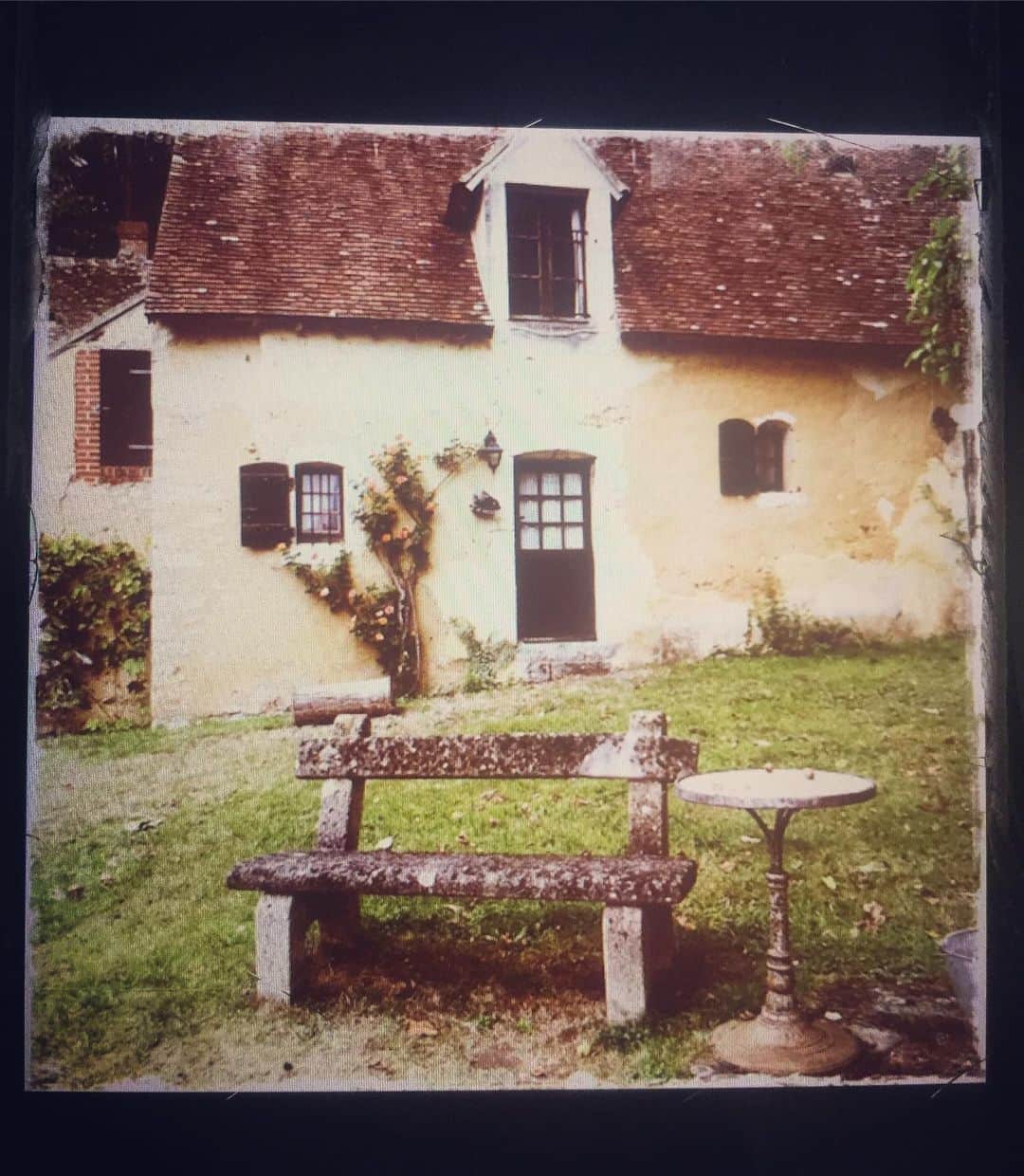 エマニュエル・ベアールのインスタグラム：「#autumncolors 🍁 need for nature and silence ... take care 🙏🏻 #couleursdautomne  besoin de nature et de silence .. prenez soin de vous .. hotel @duneile ... wonderful place」