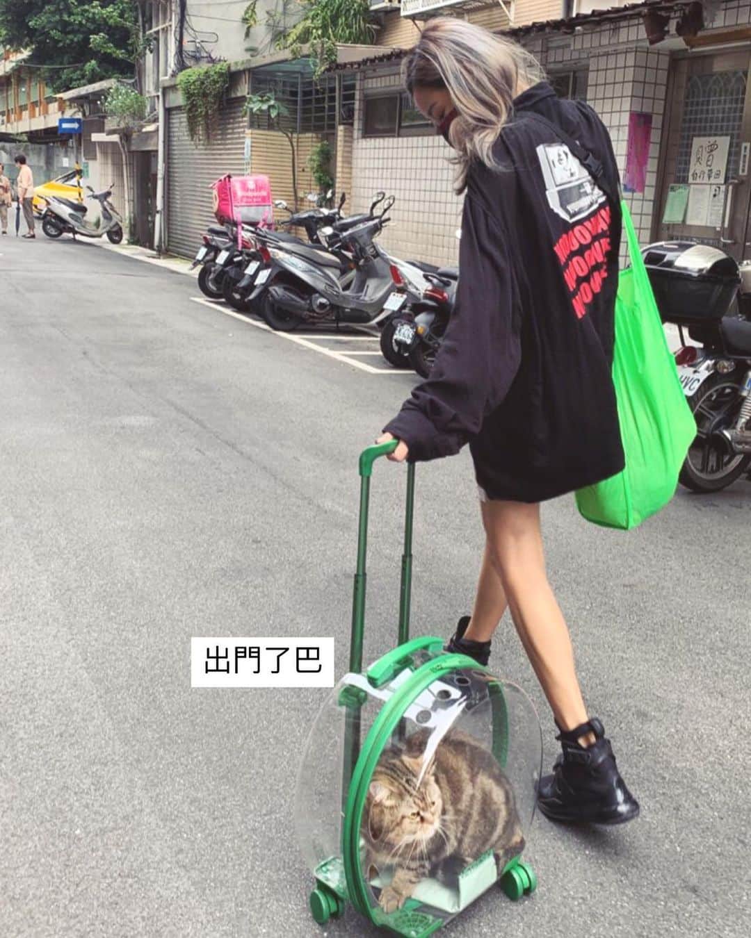 安柏兒のインスタグラム：「巴的奇幻旅程 最遺憾是籠子不夠寬 無法完成得意的他最喜歡的籠子內翻肚踏踏招  （他真的不小） 沒關係 天氣好奴才再帶你出去走走  #辛巴的奇幻旅程 #他不胖是骨架大⋯😂😂😂 #宅女終於出門陪朋友逛街 #今天這籠子很夯😂 #但辛巴更夯☺️」