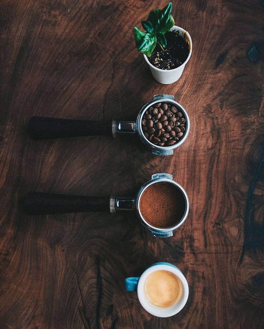 ライアン・シークレストさんのインスタグラム写真 - (ライアン・シークレストInstagram)「It’s #NationalCoffeeDay ... or as I like to call it, “my morning ritual.” How do you like your coffee?   📸: @pachamama_coffee」9月30日 3時28分 - ryanseacrest