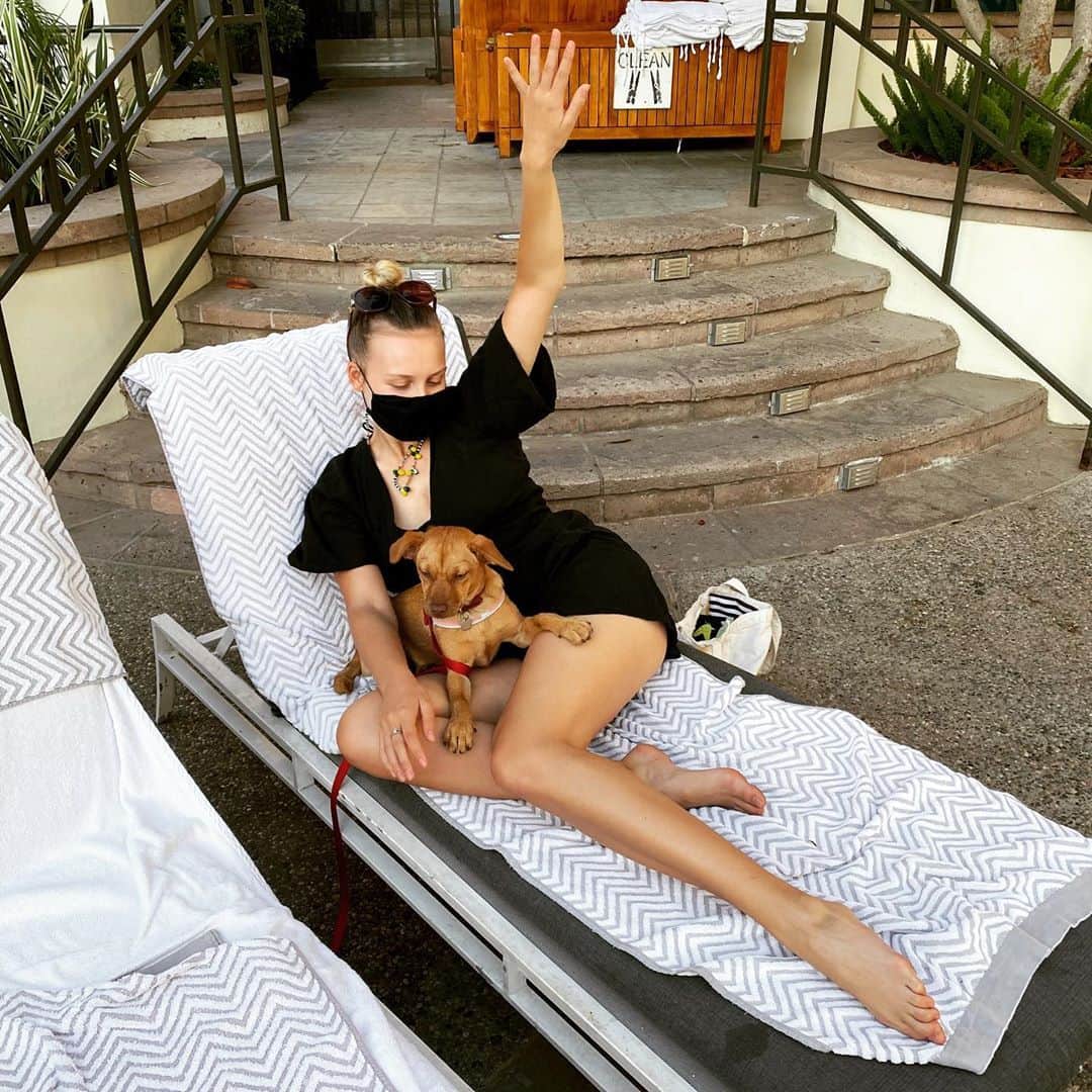 のインスタグラム：「talk 2 the hand 🐾 #divapups」
