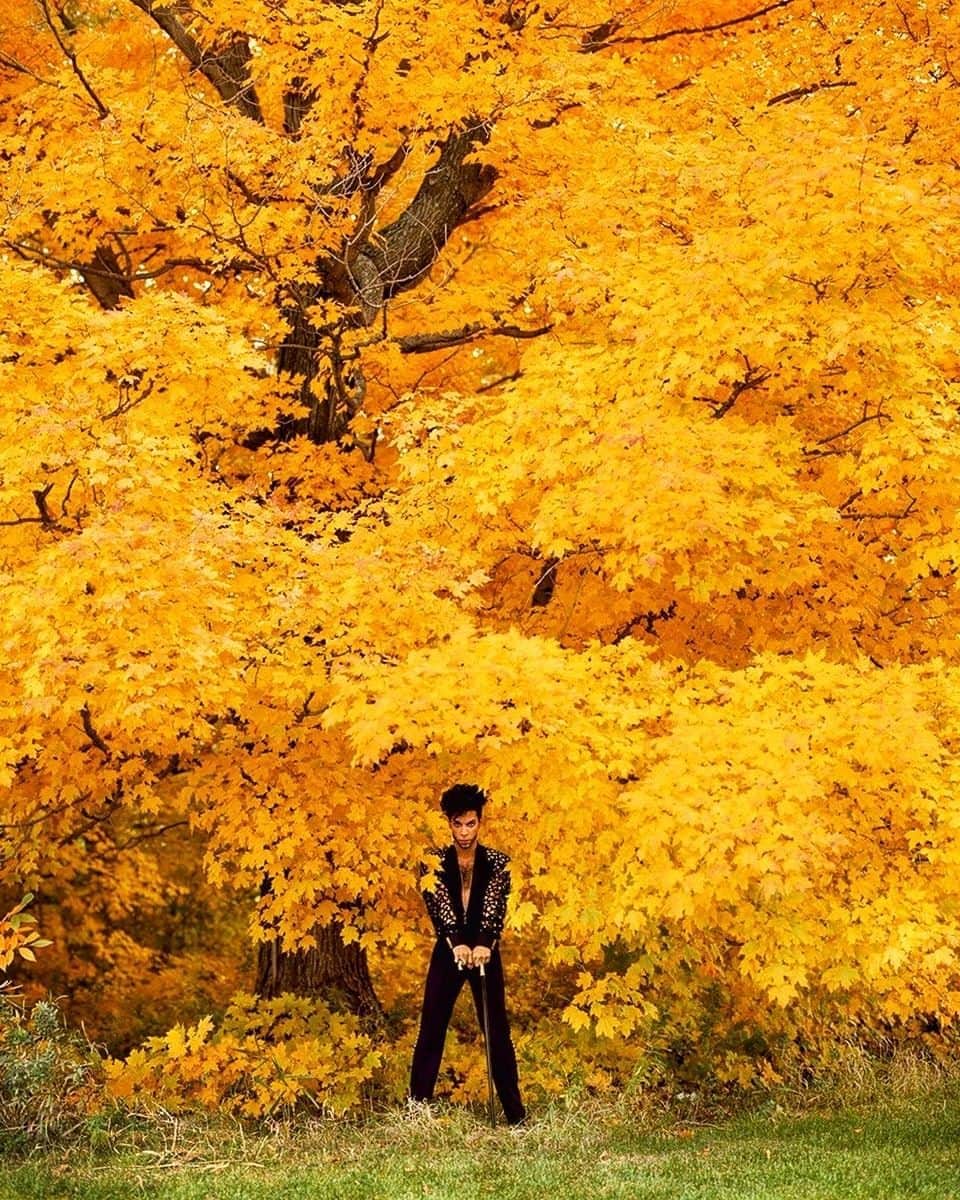 のインスタグラム：「PRINCE, LEGEND !⁣ #inspiration #iconic #prince #foreverlegend」