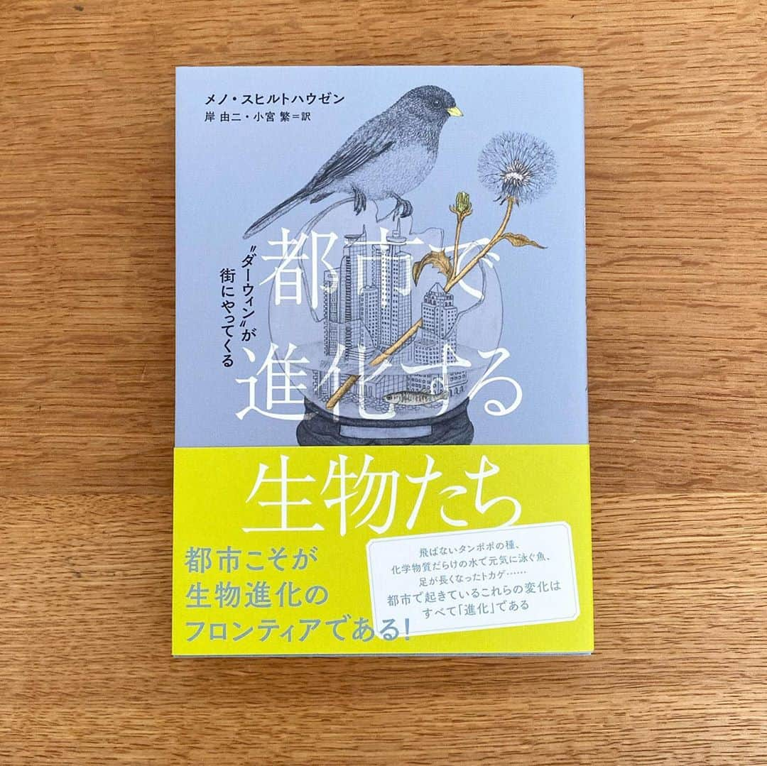 服部円さんのインスタグラム写真 - (服部円Instagram)「最近の積読です😌 読書とか映画とか没入してる時だけ時が止まればよくない？ #服部読書」9月30日 13時45分 - madokahattori