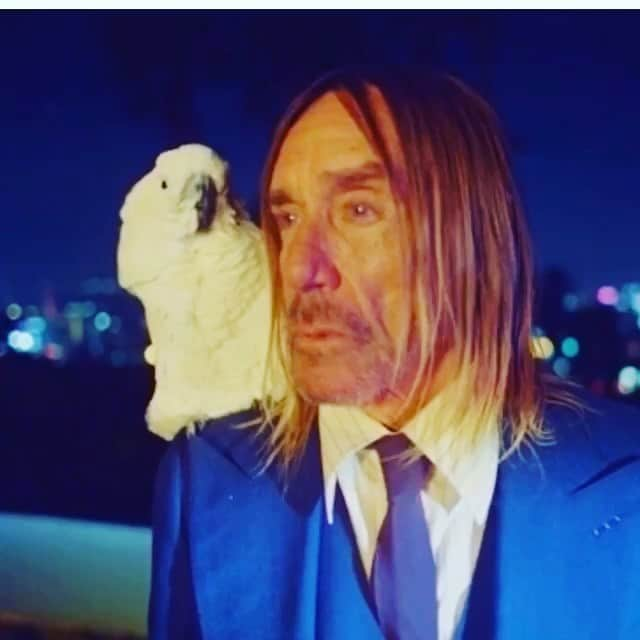 イギー・ポップのインスタグラム：「Gucci, down to the flocks.  @Alessandro_Michele  A film by #HarmonyKorine  Starring @AsapRocky of course. Tyler, The Creator...also known as @FeliciaTheGoat @IggyPopOfficial @BiggyPop @Gucci  #GucciTailoring  @CerroneOfficial  Music: ‘SuperNature’  Performed by Cerrone.  Written By: Marc Cerrone, Lili Marlene Premilovich, Alain Wisniak.  Published By: Kobalt Songs Music  Publishing: Because Editions/Concord Music」