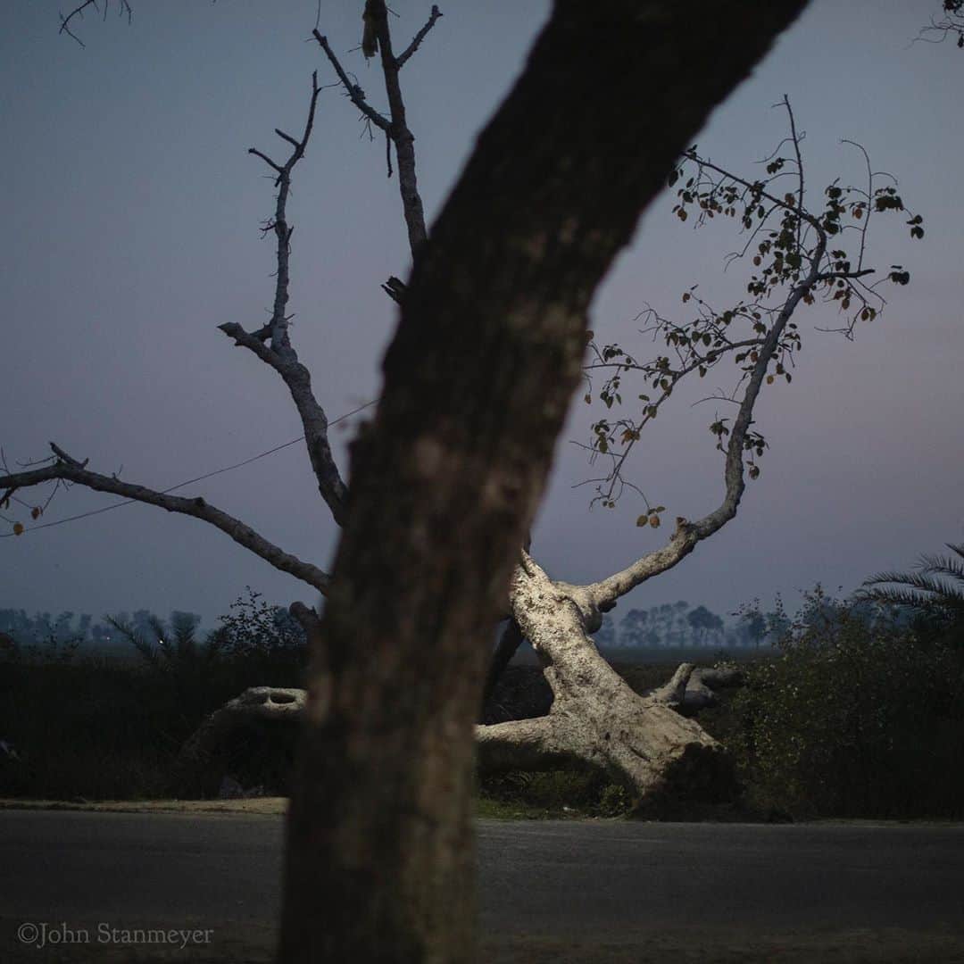 のインスタグラム：「What we kill and what we sow...a tree cut to its roots, forgotten, rotting by the side of a road in Nawada. A woman, bent in labor, tossing fertilizer on seeds upon a sandbar in the middle of the Dehri River in Bhagalpur. When monsoon season arrives to India, the land she borrows from nature will wash away, and a tree whose time was cut short will return to the earth. Always nothing ever lasts forever. ⠀⠀⠀⠀⠀⠀⠀ India’s Daunting Challenge: There’s Water Everywhere, And Nowhere - Chapter 8 of the @outofedenwalk, my latest story last months (August 2020) @natgeo magazine. ⠀⠀⠀⠀⠀⠀⠀ #diptych #deadtree #dusk #nawada #farming #woman #dehririver #bhagalpur #bihar #india @natgeo @outofedenwalk #walkingindia #edenwalk」