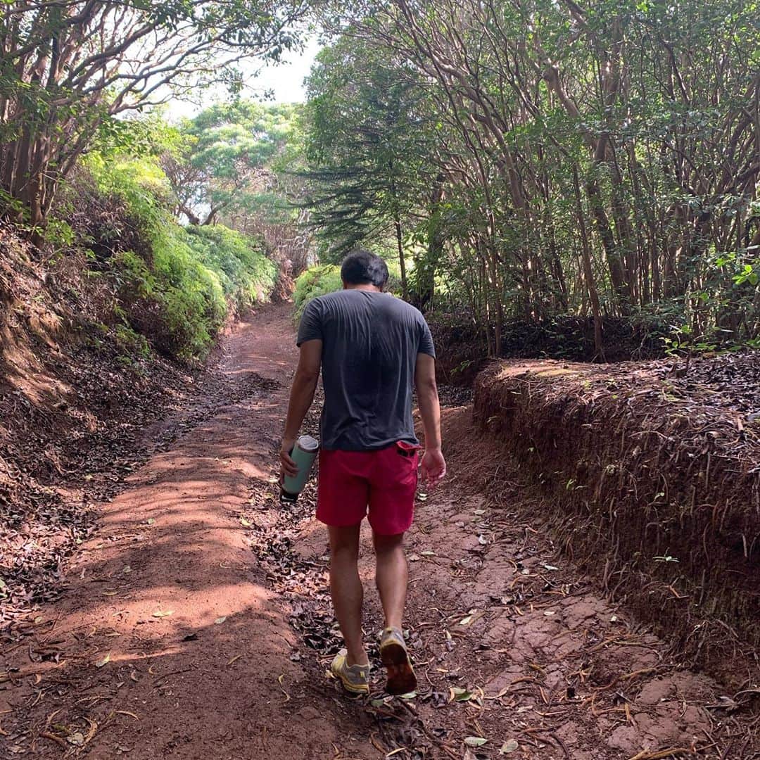 平岳大さんのインスタグラム写真 - (平岳大Instagram)「Daily walk #wiliwilinui #hawaii」9月30日 14時29分 - takehiro49