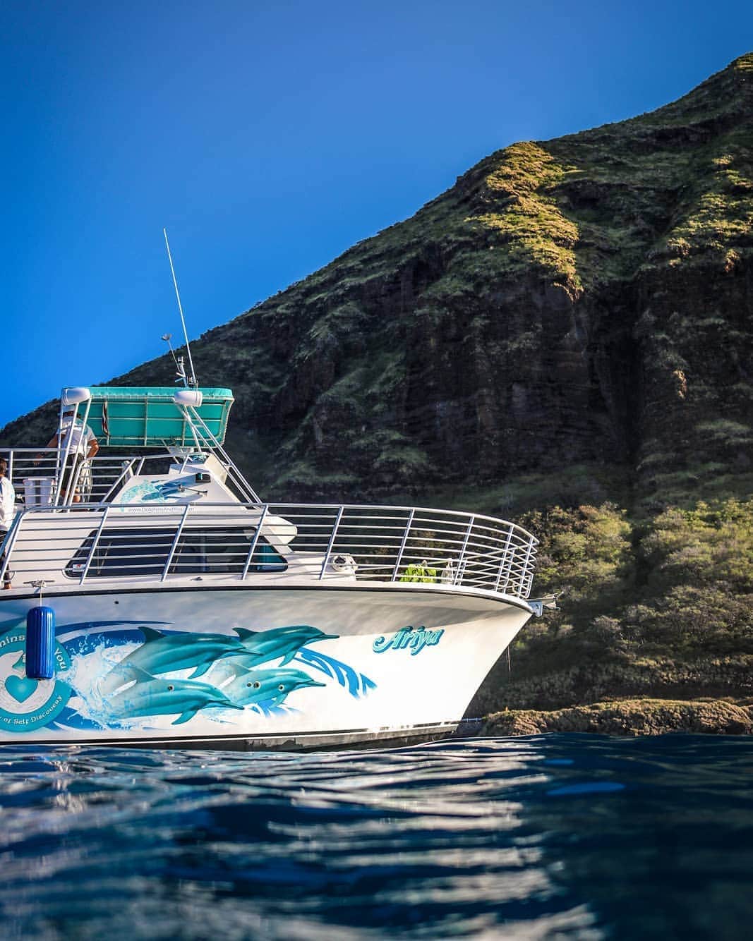 And Youさんのインスタグラム写真 - (And YouInstagram)「Who is ready to come back out on our boat?! ​. ​. ​. ​. ​. ​. ​. ​. ​. ​. ​. ​#hawaii #hawaiivacation #oahulife #boattour #sealife #ocean #oahutours」9月30日 6時04分 - dolphinsandyou