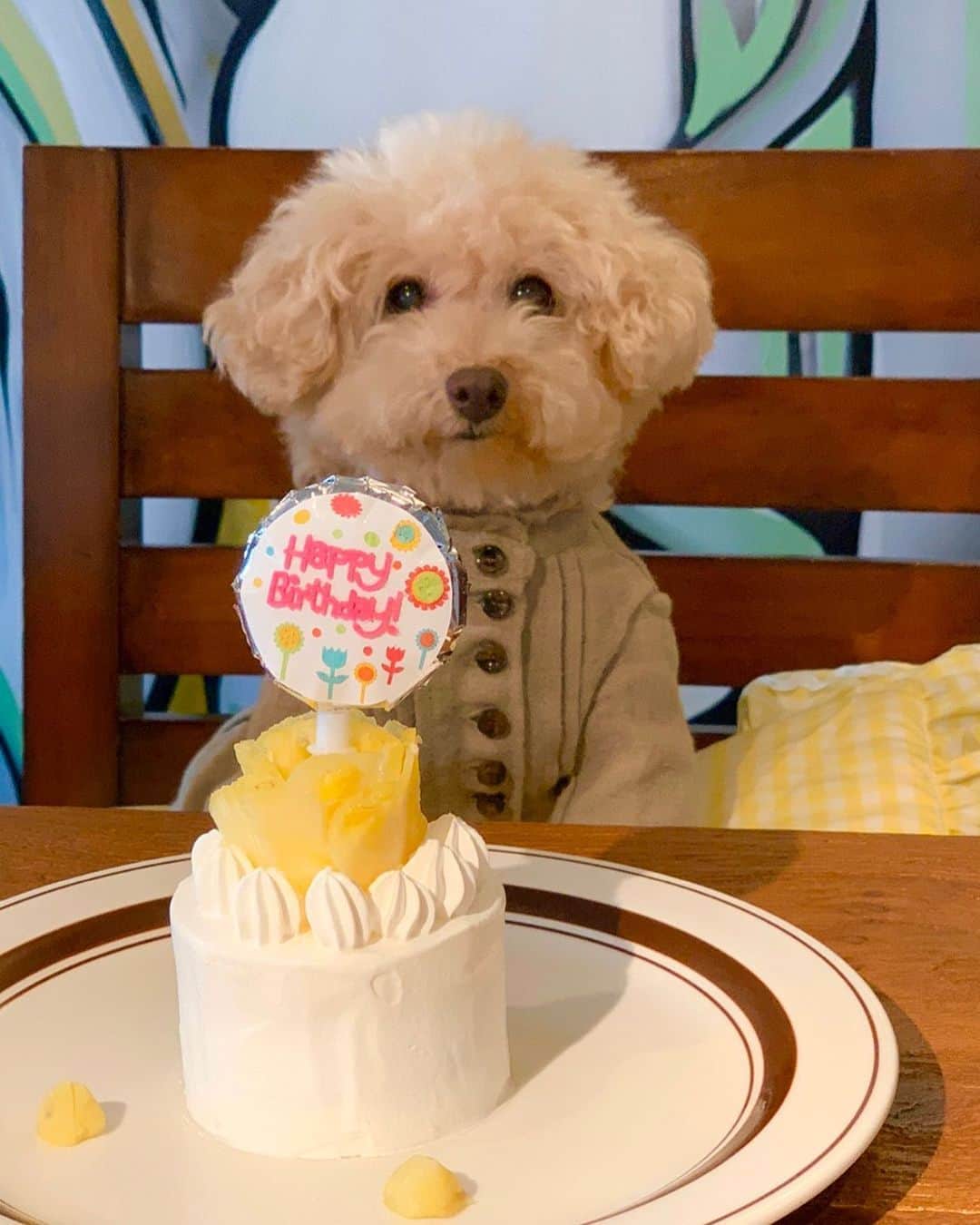 Maruのグルメインスタ