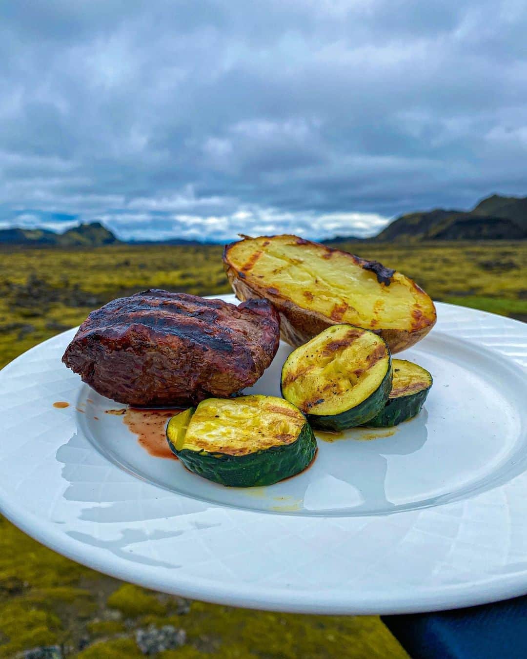 テリー・クルーズさんのインスタグラム写真 - (テリー・クルーズInstagram)「An Icelandic Feast in the Volcanic Fields of the Interior 🌋🥩🔥💪🏾  Chef/Guide: @kristjanpv 📸: @kodax_moments」9月30日 7時06分 - terrycrews
