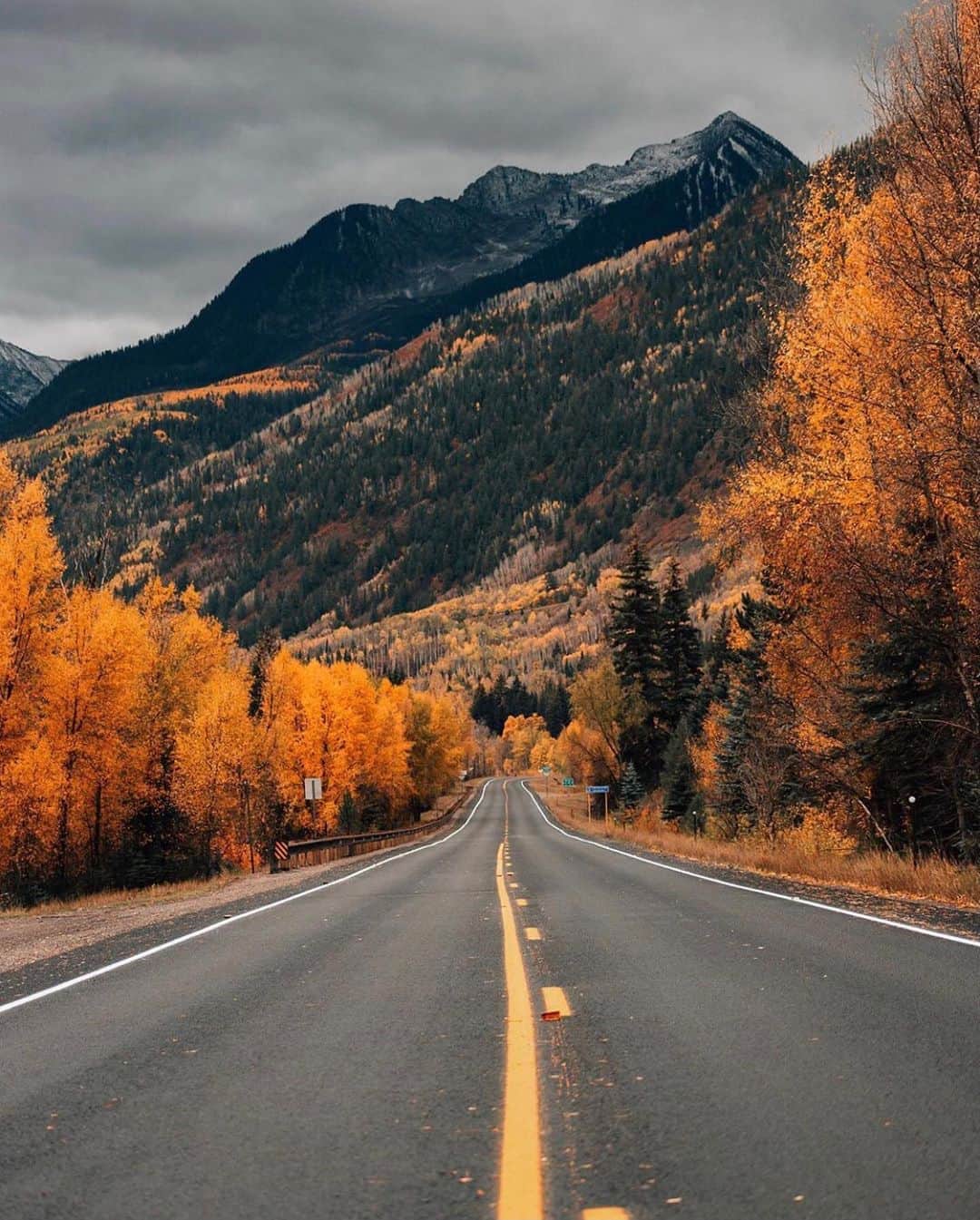 FOLKのインスタグラム：「Your weekly road to fall. Today’s favorites: 1.) @snickersv 2.) @joshsavely 3.) @benwaugh 4.) @kuyca 5.) @bigevanjohnson 6.) @kyle.fredrickson」