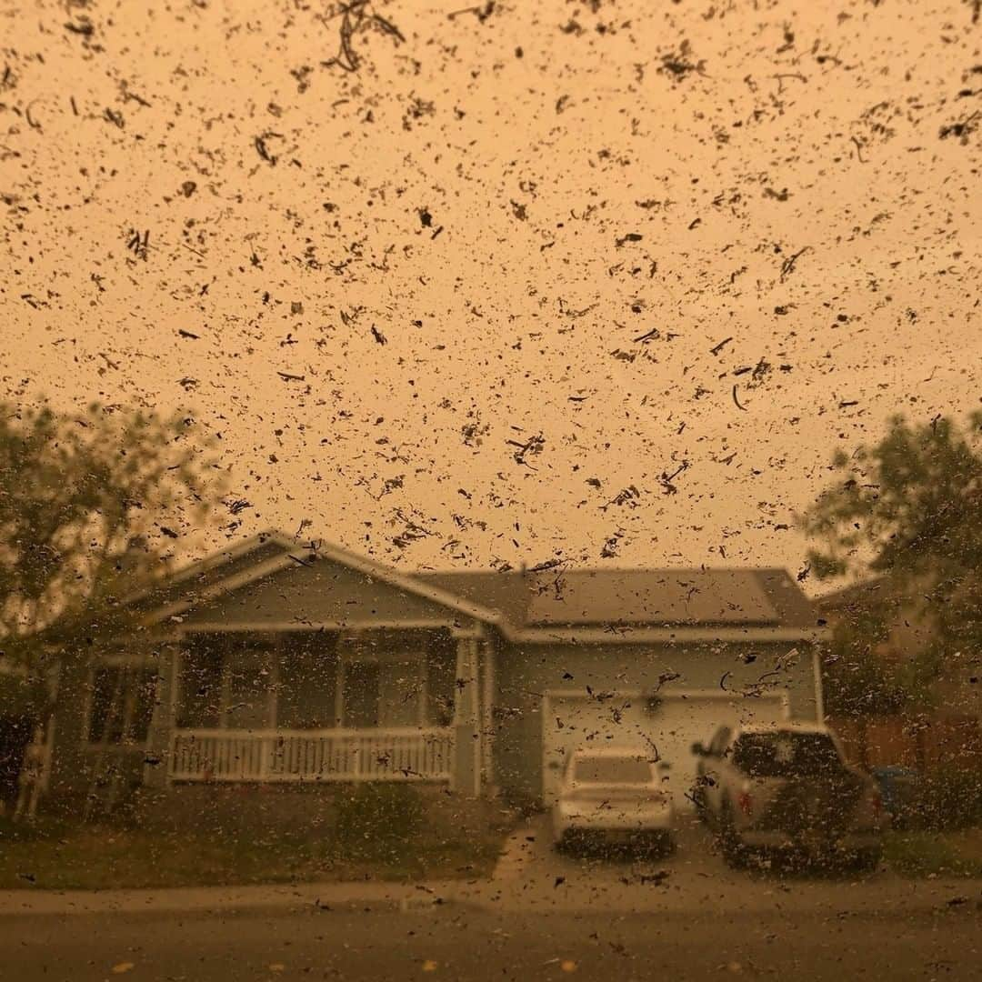 CNNさんのインスタグラム写真 - (CNNInstagram)「Shockingly large chunks of ash fell from the sky as a result of the Glass Fire in Santa Rosa, California, resident Morgan Balaei said Monday. The Glass Fire has exploded to more than 36,000 acres in less than 48 hours, forcing thousands of people to evacuate. There have been more than 8,100 wildfires in California this year and firefighters continue to fight at least 25 major blazes, Cal Fire said on Sunday. (📸: Morgan Balaei)」9月30日 8時00分 - cnn