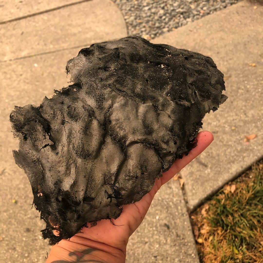 CNNさんのインスタグラム写真 - (CNNInstagram)「Shockingly large chunks of ash fell from the sky as a result of the Glass Fire in Santa Rosa, California, resident Morgan Balaei said Monday. The Glass Fire has exploded to more than 36,000 acres in less than 48 hours, forcing thousands of people to evacuate. There have been more than 8,100 wildfires in California this year and firefighters continue to fight at least 25 major blazes, Cal Fire said on Sunday. (📸: Morgan Balaei)」9月30日 8時00分 - cnn