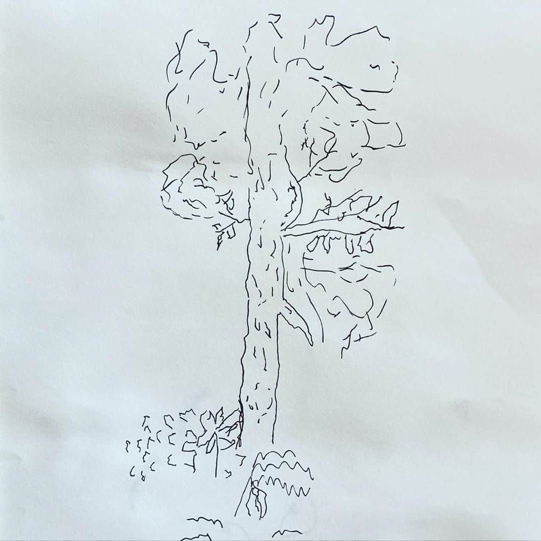 Jason G. Sturgillさんのインスタグラム写真 - (Jason G. SturgillInstagram)「I’ve never felt comfortable doing drawings in nature. Always felt like there’s too much detail my minimalist brain wants to simplify everything. I drew this on a hike a month ago and hated it at the time but just came across it in my notebook and thought “who drew this? it’s kind of nice.” 😆」9月30日 8時16分 - jgspdx