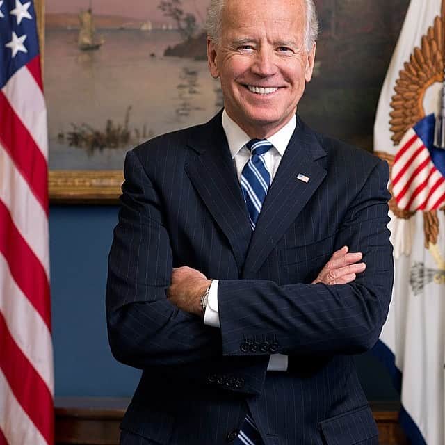 メアリー・マクドネルのインスタグラム：「look him dead in the eye Joe and let him know that we all see his ALPHA and we will not succumb to fear @joebiden @biden.harris2020 #bidenharris2020」