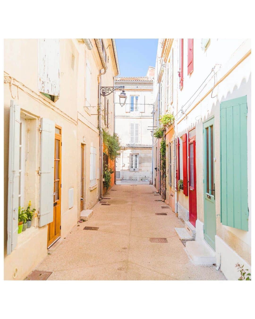 Andrew Knappのインスタグラム：「A few new prints in the shop, link in profile! Someone mentioned the photo at the bakery would look nice in their nursery and I thought - what else would add colour to a room?   Find Momo in the first photo, find Momo & Boo in the last (definitely gonna need to zoom)」