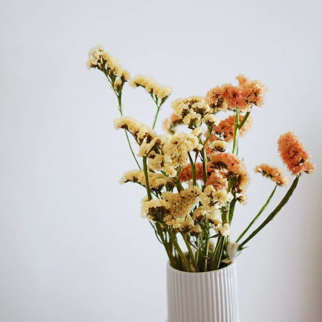 LOVEGREEN -植物と暮らしを豊かに。さんのインスタグラム写真 - (LOVEGREEN -植物と暮らしを豊かに。Instagram)「［前田有紀の一“花”言］ . フラワーアーティストの前田有紀さん( @yukimaeda0117 )が、一家言ならぬ一“花”言と称して、その時期に気になる旬のお花や魅力、そして前田さんならではのアレンジ術などお届けしています。 . -------------------- . 「秋の花あしらい」 すっかり秋めいてきましたね。 . この季節になると、これまで暑かったために日持ちしなかったお花も、ぐんと長く楽しめるようになり、今までよりも飾りやすくなります。 . 今回は秋の始まりに飾りたくなるお花をご紹介します。 . -------------------- . 記事はLOVEGREENからチェックしてみてくださいね🌻 . #秋 #鎌倉 #フラワーアレンジ #スターチス #ヘレニウム #ケイトウ #庭 #フラワーベース #庭のある暮らし #ガーデン #植物 #植物のある暮らし #植物と暮らす #植物が好き #花 #花が好き #花のある暮らし #花と暮らす #春 #LOVEGREENストア #植物と暮らしを豊かに #シンプルライフ #ライフスタイル #暮らし #園芸 #ガーデニング #花束 #花瓶 #一輪挿し #季節の花」9月30日 9時00分 - lovegreen_official