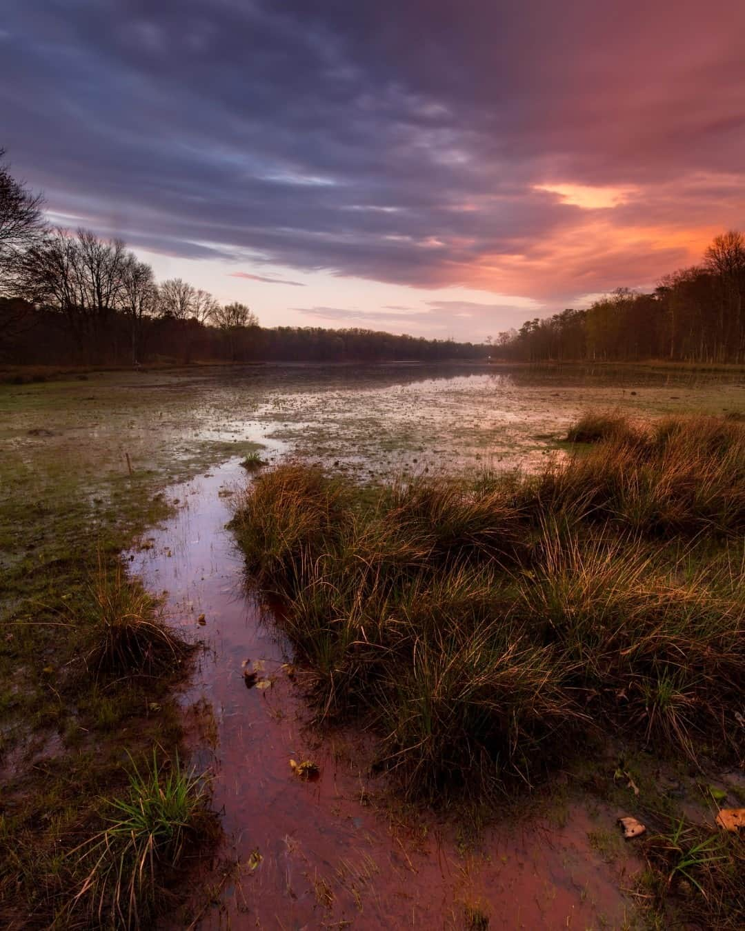 アメリカ内務省さんのインスタグラム写真 - (アメリカ内務省Instagram)「As the sun sets, the night comes alive with its own cacophony of sounds. Patuxent Research Refuge in #Maryland is about a forty-minute drive from both Baltimore and Washington, DC. Urban National Wildlife Refuge Day was created to celebrate refuges just like this one -- places for both #wildlife and people to reset near bustling development. From floodplain forests to the #Patuxent River, the refuge is an important stopover during the fall and spring migrations for birds, and over 270 #bird species have been spotted here, using it as a place to rest and feed. As for the 80 percent of Americans who live in or near cities, urban national wildlife refuges provide vital access to #nature and #outdoor recreation. They boost physical and psychological well-being and local economies. We hope you find a way to celebrate nearby nature today! Photo by Ian Shive (@ianshivephoto), U.S. Fish and Wildlife Service. #usinterior #nationalwildliferefuge」9月30日 9時26分 - usinterior