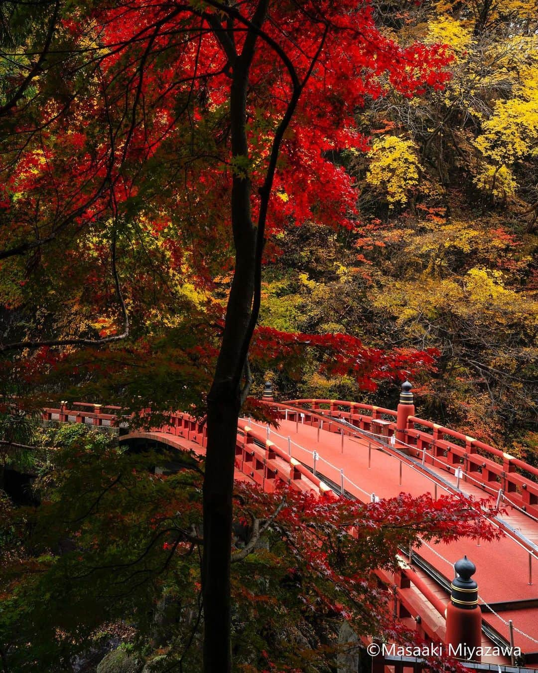 TOBU RAILWAY（東武鉄道）のインスタグラム