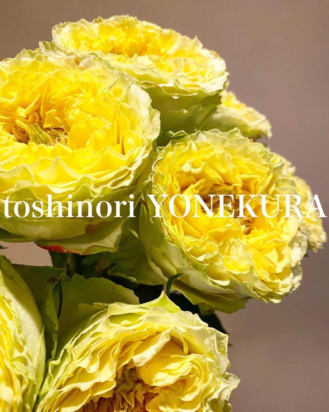 のインスタグラム：「flowers of this week #男花 #花のある生活」