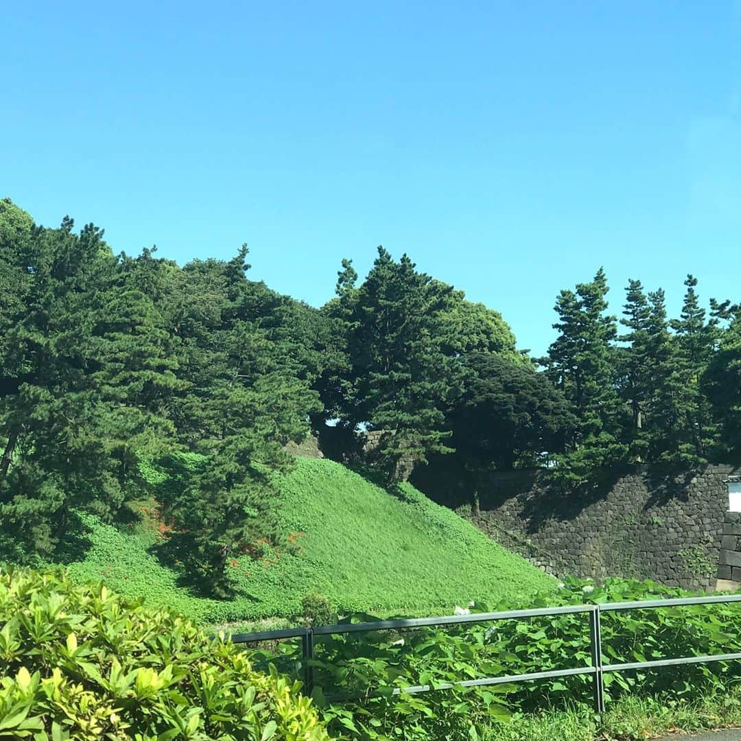土屋眞弓のインスタグラム：「素晴らしい秋晴れ🍁☀️✨✨  トークショーの会場に向かう車中から 大好きな皇居のお堀の緑が素敵❣️ ここを通る度江戸時代に生まれたかった〜と思います お城好きな私としては🥰  なんて清々しい青空と木々の緑‼️  良い一日を❤️  #皇居」