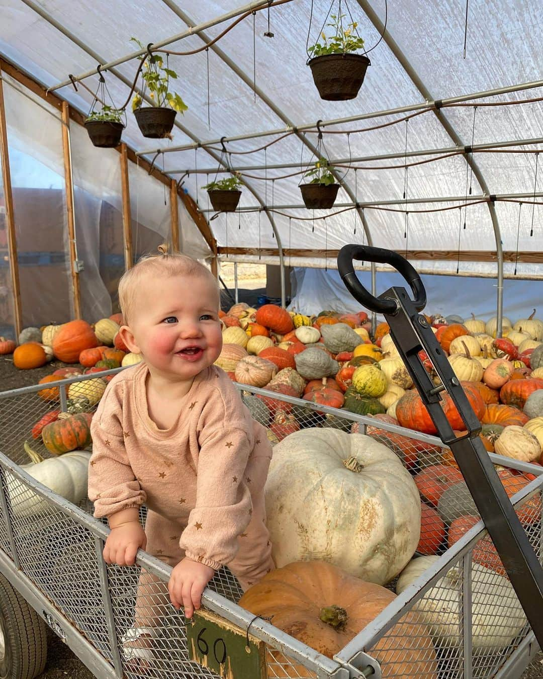 Aspyn Ovard Ferrisさんのインスタグラム写真 - (Aspyn Ovard FerrisInstagram)「Went to the pumpkin patch this afternoon 💕」9月30日 10時52分 - aspynovard