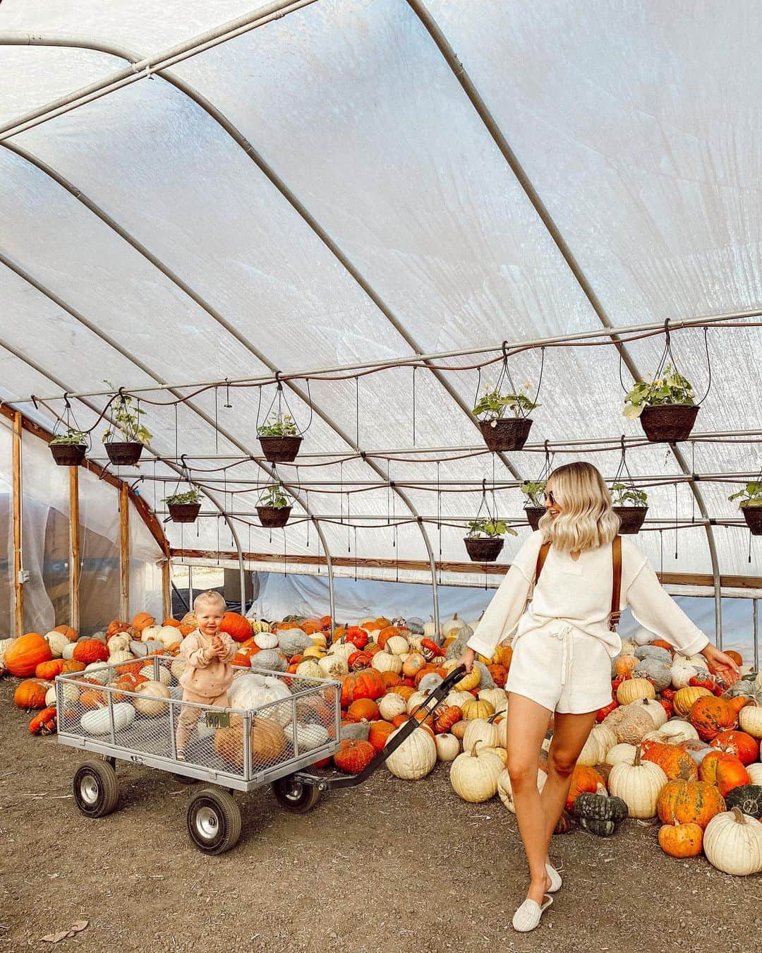 Aspyn Ovard Ferrisのインスタグラム：「Went to the pumpkin patch this afternoon 💕」