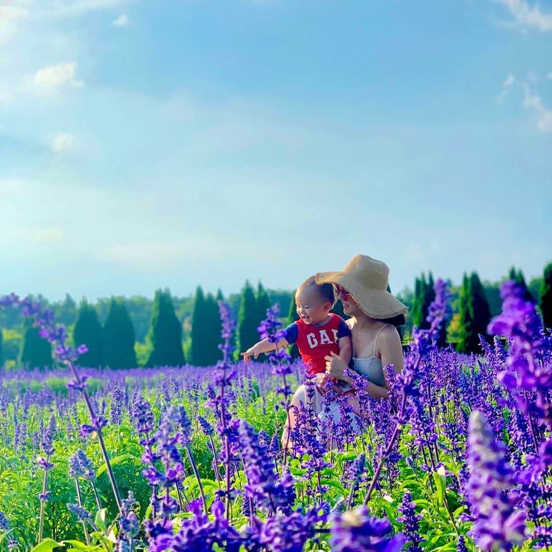 セーラのインスタグラム：「ラベンダー畑💐 めちゃくちゃいい香り♡  #ラベンダー畑　#親子　#お花畑」