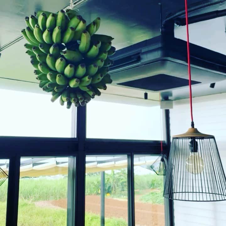 ONE SUITE Hotel & Resort（公式）のグルメインスタ