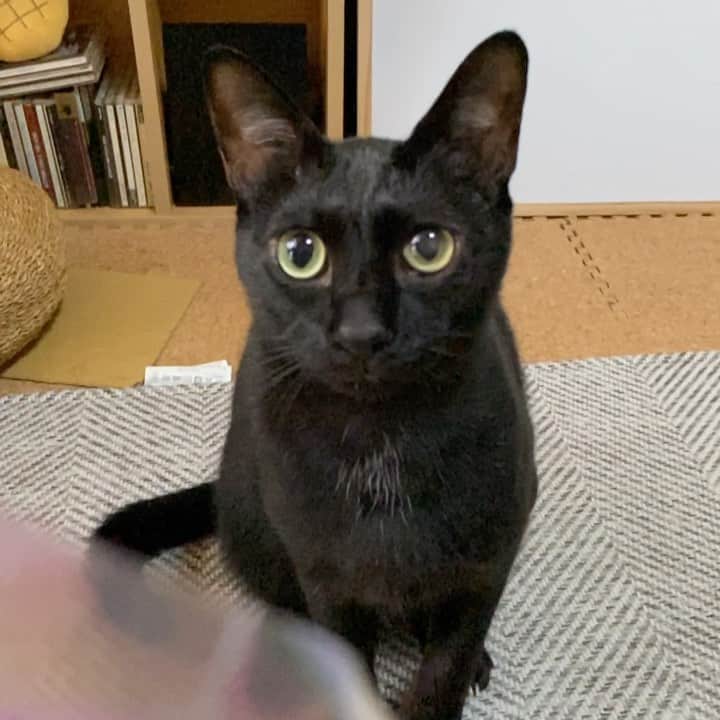 MAKO0MAKO0のインスタグラム