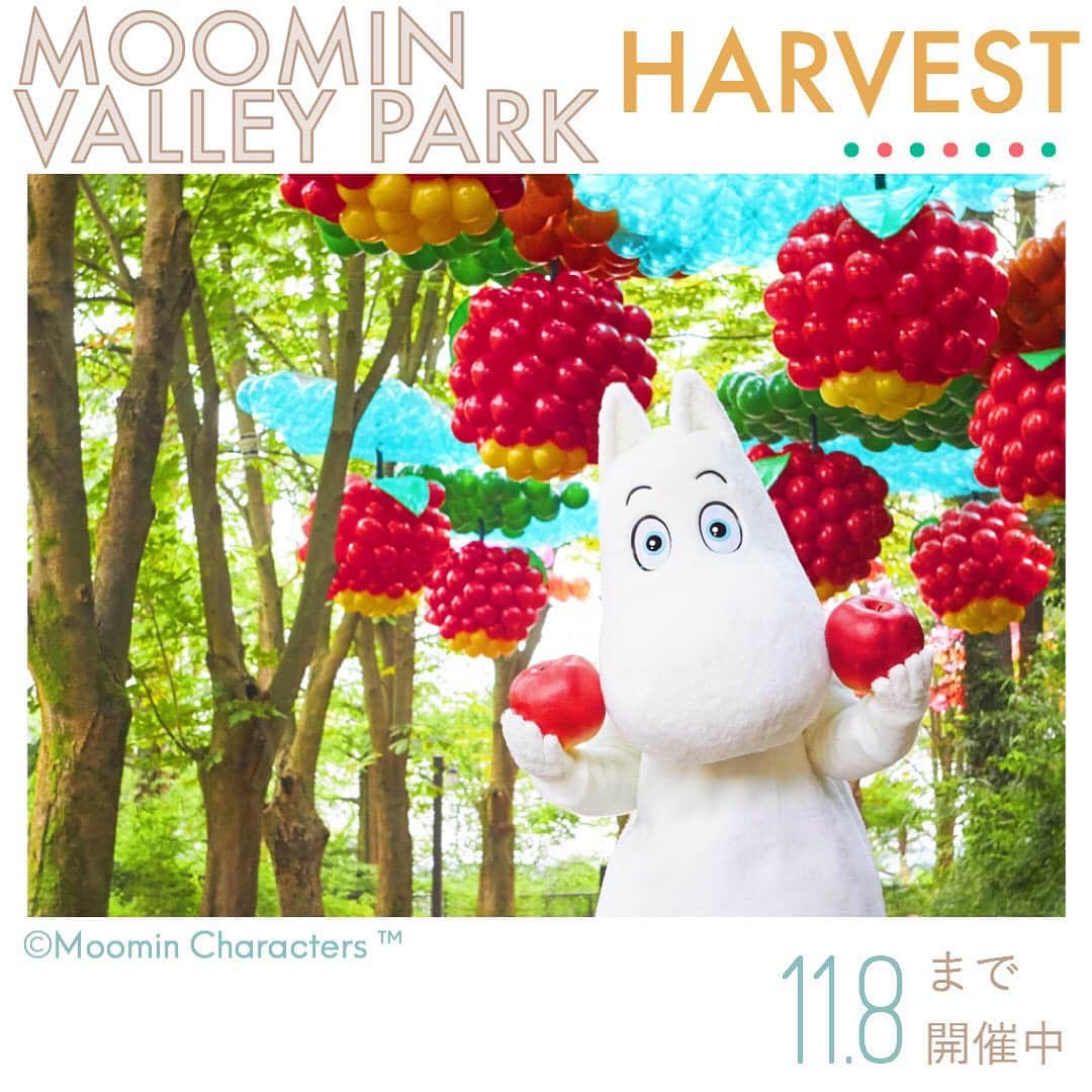 Skyticket.jpさんのインスタグラム写真 - (Skyticket.jpInstagram)「ムーミンバレーパークでは、11月8日（月）まで秋の季節を楽しむハーベスト（＝収穫祭）をテーマに、この季節ならではの体験ができるイベントを開催中。  北欧の秋の実りを象徴するベリーとりんごをモチーフに、約3,600個のバルーンで空間演出します。フィンランドの有名ブランド marimekko（マリメッコ）などを手掛ける有名デザイナーがプロデュースしています。  実りの秋をムーミンたちと過ごしましょう！  ▼詳しくはこちら https://metsa-hanno.com/event/8798/  🍎🍎🍎🍎🍎🍎🍎 ムーミンバレーパーク 住所：埼玉県飯能市宮沢327-6メッツァ アクセス：西武池袋線 飯能駅からバスで約13分 公式・関連サイトURL：https://metsa-hanno.com/ 🍎🍎🍎🍎🍎🍎🍎 ・  ・  ▼旅先の絶景やおすすめ写真を大募集📷  #skyticketrip を付けた投稿はストーリーズでご紹介させてください🌈    #ムーミンバレーパーク #ムーミン #飯能 #moomin #moominvalleypark #埼玉 #ムーミンパーク  #北欧 #ムーミン谷 #フィンランド #metsavillage #埼玉県 #ムーミン大好き #instagood #埼玉旅行 #japan  #メッツァビレッジ　#秋旅　#metsavillage  #saitama #hanno #autumn #秋 #フォトジェニック  #ハーベスト  #Harvest  #ハーベストスペシャルウィーク #スカイチケット」9月30日 12時33分 - skyticket.jp