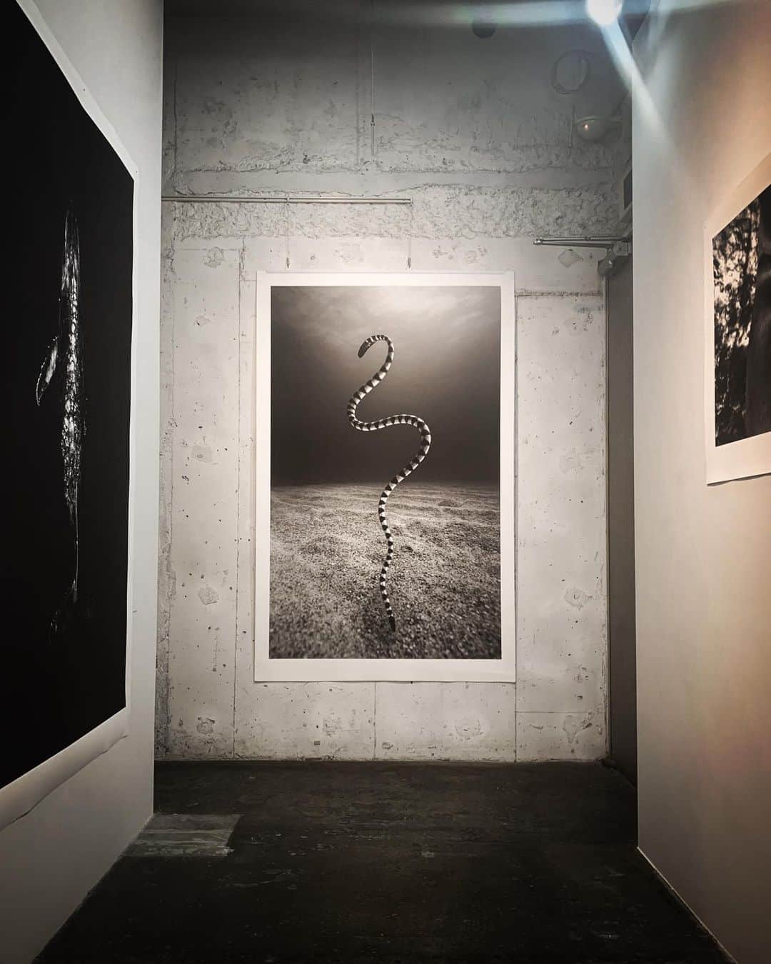 二木あいのグルメインスタ