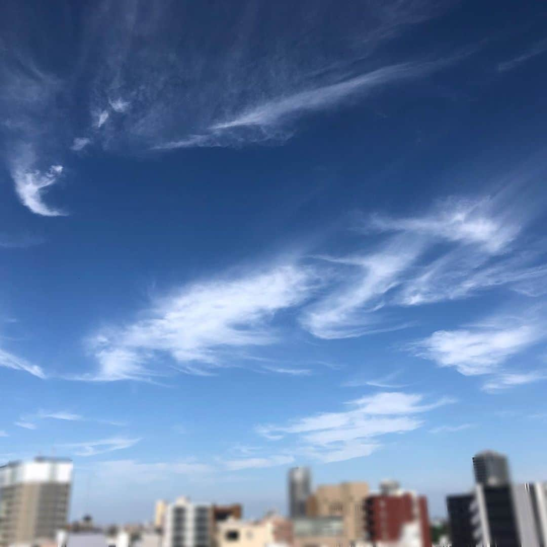 悠未ひろさんのインスタグラム写真 - (悠未ひろInstagram)「秋の空 今日は洗濯して、取り込んだ時に快感を覚える事でしょう👕✨✨  この前まで暑がってたのに、すっかり秋に…🍁 今年も秋短そうだから、思いきり味わっておこう☺️  午前中は同期によるヨガレッスン🧘‍♀️最高でした✨ #洗濯　#最近ハマってる #秋の日に #気持ちよい #ヨガ　#幸せ #先生 #すごい #落ちていた気持ちがあがった #頭痛改善 #体を動かすだけでなく　#体と精神の連動って感じ #宝塚OGパワーもあるかもしれない #みんなでやるとさらに楽しい  #いつもありがとう」9月30日 13時02分 - hiroyuumitomo