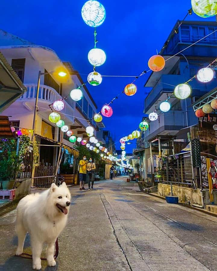 Discover Hong Kongさんのインスタグラム写真 - (Discover Hong KongInstagram)「Happy Mid-Autumn Festival to you and your family!  祝你和家人，中秋節快樂！ #DiscoverHongKong」9月30日 13時00分 - discoverhongkong