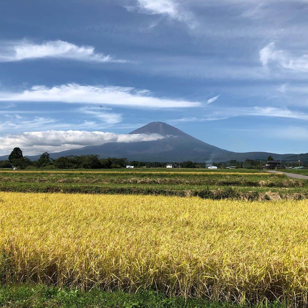 いけや賢二のインスタグラム：「今日も稲刈り。 #稲刈り #富士山 #農業 #芸人 #いい天気」