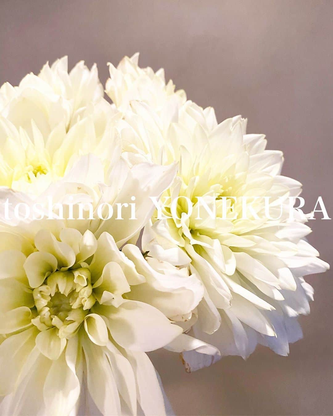 のインスタグラム：「flowers of this week #男花 #花のある生活」