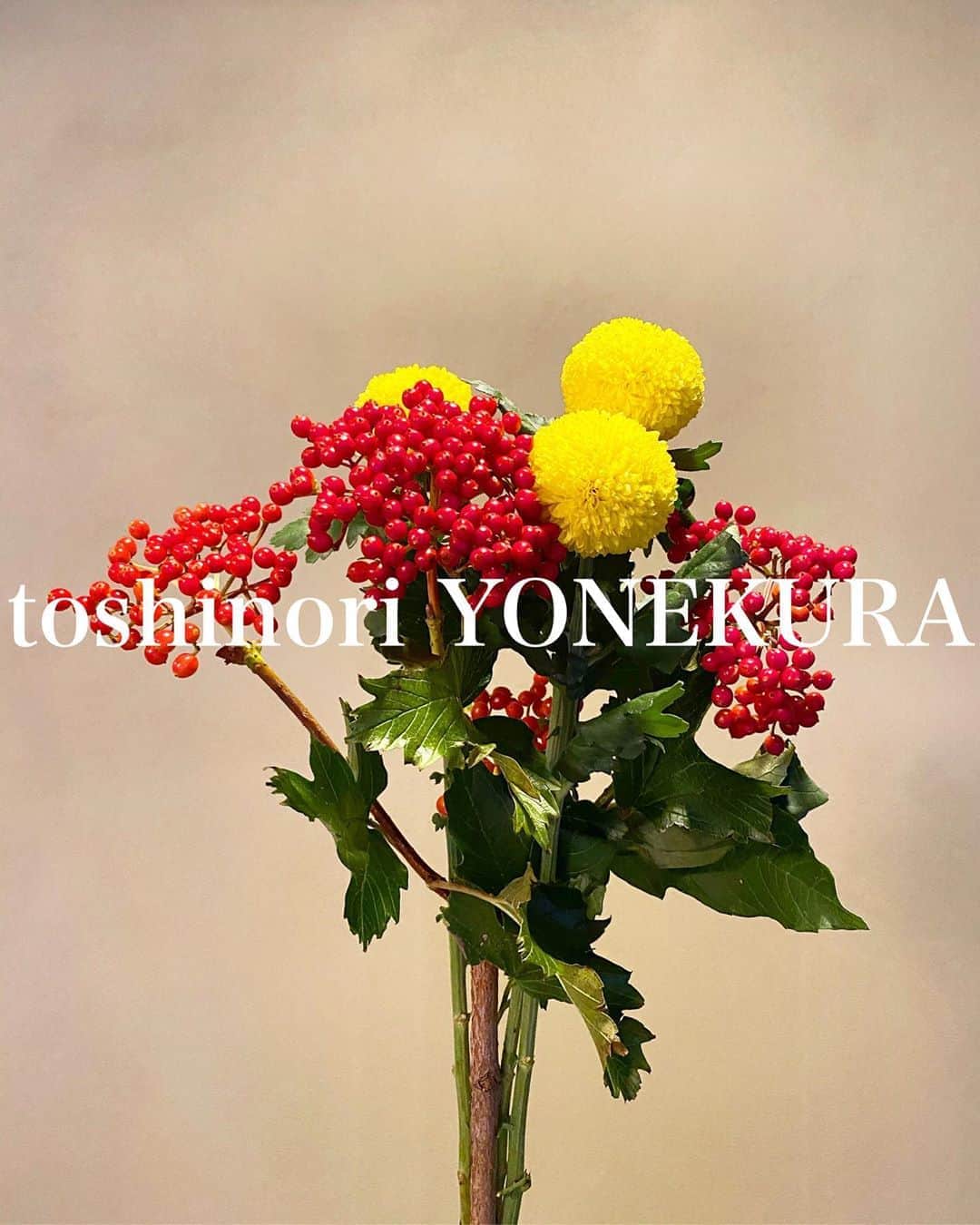 のインスタグラム：「flowers of this week #男花 #花のある生活」